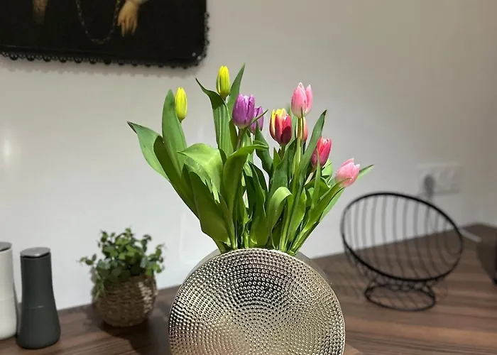 Coeur De Lotoise Votre Havre De Charme Au Cœur De Gramat